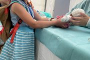 Sprechstunde bei den Teddy-Docs